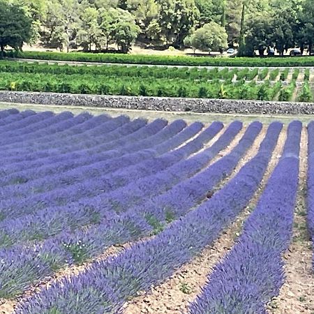 Отель Le Rouge Gorge Ponteves Экстерьер фото